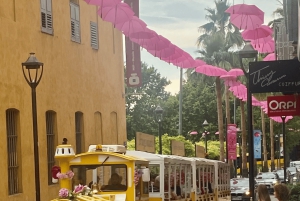 Depuis Cannes une journée Grasse ,Gourdon, St Paul de Vence
