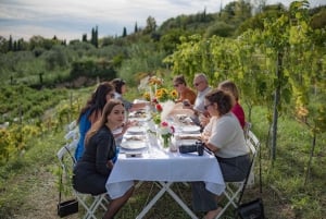 Middag på vingård Franska Rivieran