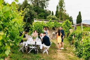 Middag i vingården Den Franske Riviera