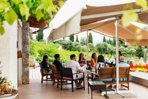 Middag i vingården Den Franske Riviera