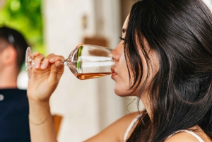 Middag i vingården Den Franske Riviera