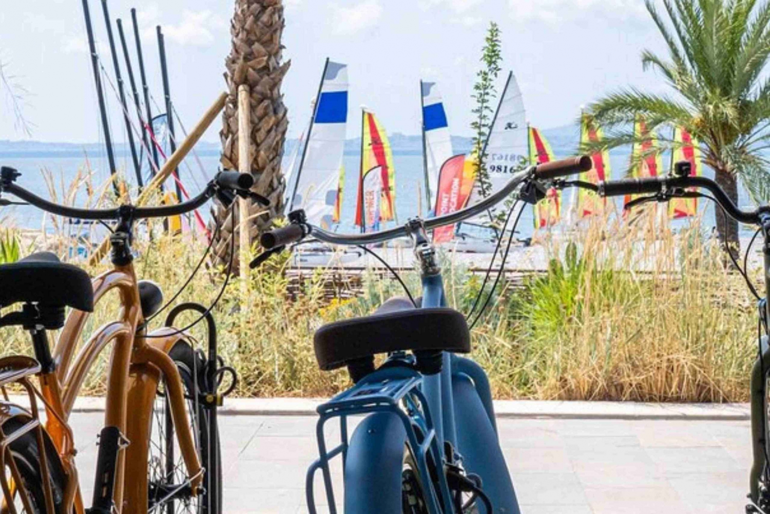 E-BIKE-Fahrt an der französischen Riviera NICE und CAP3000