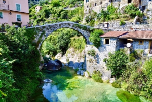 E-Bike-Tour ab Ventimiglia: Dolceacqua & Rocchetta Rivers