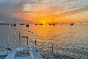 Passeio noturno e jantar com coquetel em um maxi-catamarã