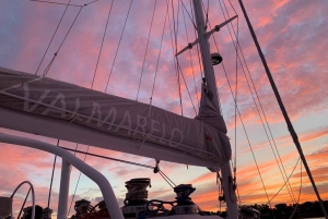 Avonduitstapje en cocktaildiner in een maxi-catamaran