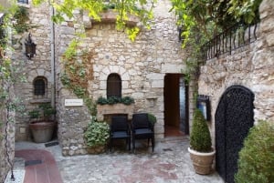 Excursion to Eze and Monaco: Half Day Shared Tour 5h