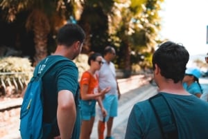 カンヌを探索: 地元ガイドによるガイド付きウォーキングツアー