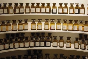 Eze e Mónaco: excursão de 1 dia partilhada 7h