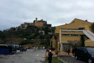 Eze Village, Monaco, and Monte Carlo Day Tour