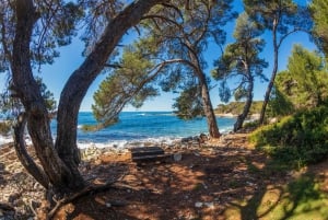 Isola di Santa Margherita: transfer in traghetto da Nizza