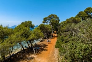 Isola di Santa Margherita: transfer in traghetto da Nizza