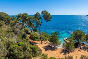 Isola di Santa Margherita: transfer in traghetto da Nizza