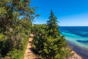 Isola di Santa Margherita: transfer in traghetto da Nizza