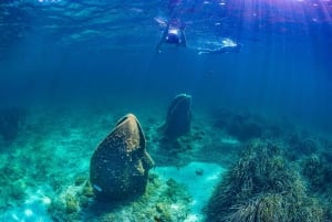 Isola di Santa Margherita: transfer in traghetto da Nizza