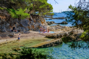 Traslado de Balsa de Nice à Île Sainte-Marguerite