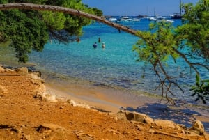 Traslado de Balsa de Nice à Île Sainte-Marguerite