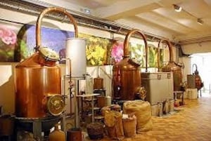 Smak og behag fra Provence