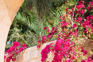 Blomsterbyen Bormes les mimosas | Privat omvisning med guide