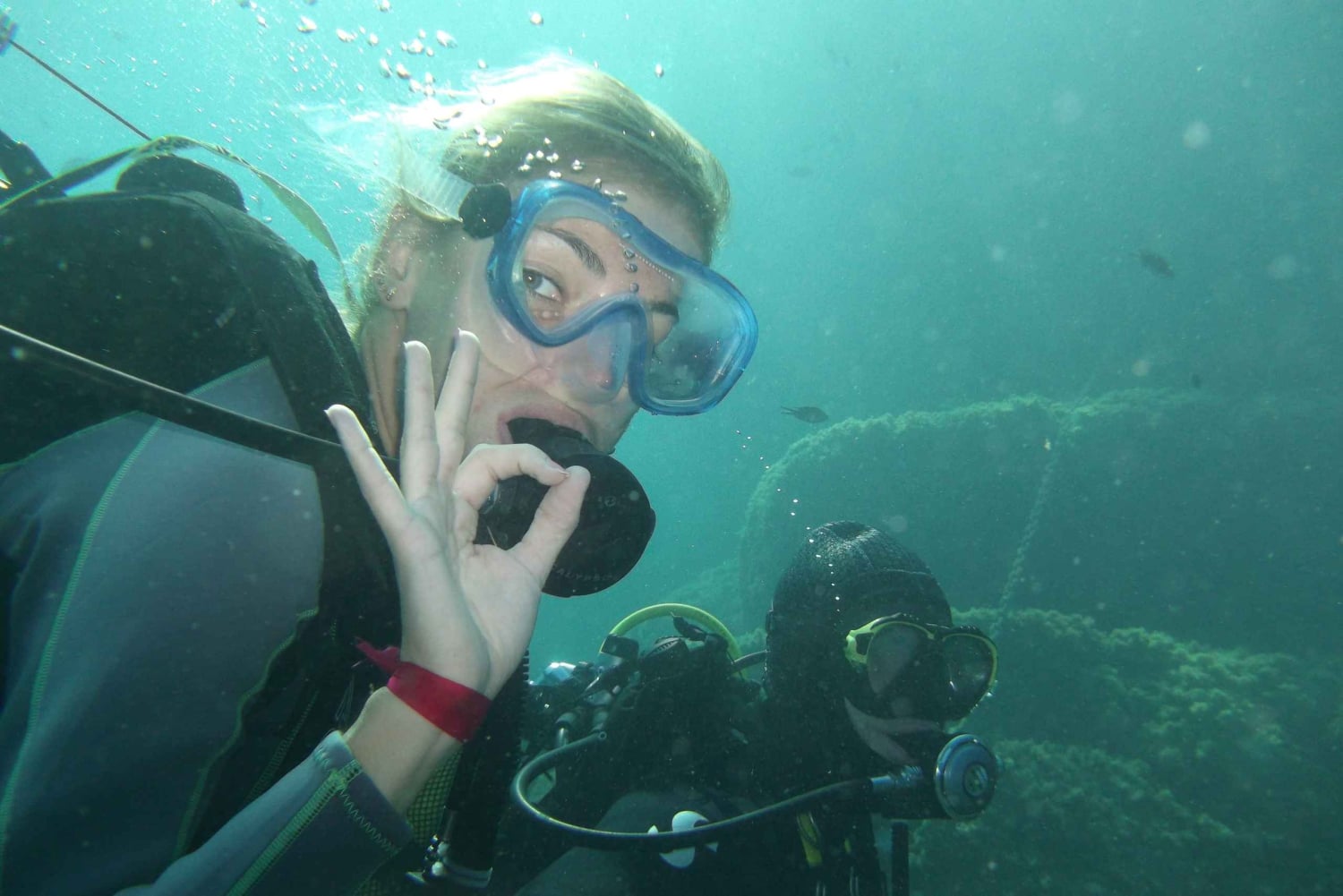 Фрежюс: дайвинг в Порт-Фрежюсе с инструктором