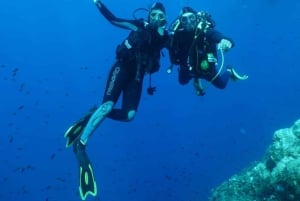 Фрежюс: дайвинг в Порт-Фрежюсе с инструктором