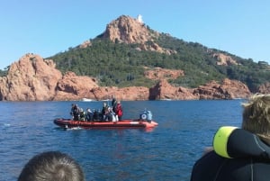 Фрежюс: дайвинг в Порт-Фрежюсе с инструктором