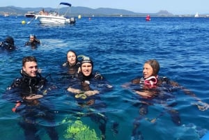 Фрежюс: дайвинг в Порт-Фрежюсе с инструктором