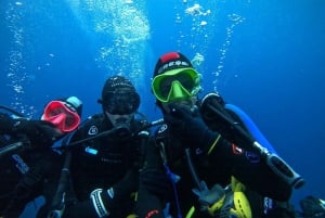 Фрежюс: дайвинг в Порт-Фрежюсе с инструктором