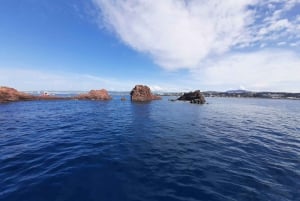 Фрежюс: дайвинг в Порт-Фрежюсе с инструктором