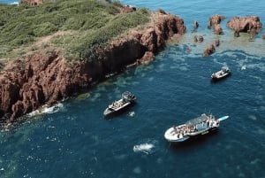 Fréjus: Cruzeiro Esterel Calanques (barco confortável) + paragem para nadar