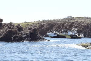 Fréjus: Cruzeiro Esterel Calanques (barco confortável) + paragem para nadar