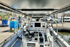 Fréjus: Cruzeiro Esterel Calanques (barco confortável) + paragem para nadar