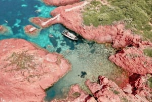 Fréjus : Estérel Calanques Speedboat Tour + Swim Stop