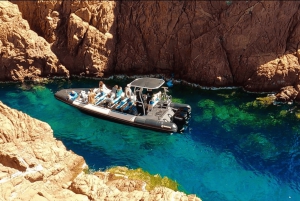 Fréjus : Estérel Calanques Speedboat Tour + Swim Stop
