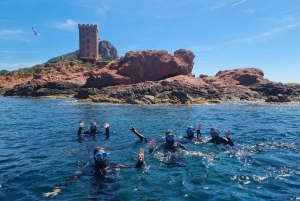 Fréjus: Snorklauselämys Port Fréjusissa