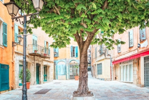 Dagtrip Franse Rivièra en Provence