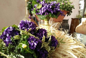 Den franske rivieraen: Halvdagstur på landsbygda fra Nice