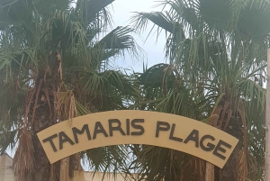 Fransk Riviera dagstur Nice Eze village Monaco