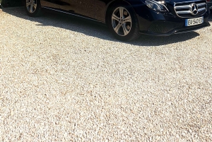 Fransk Riviera dagstur Nice Eze village Monaco