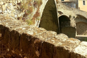 Fransk Riviera dagstur Nice Eze village Monaco