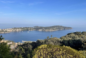 Französische Riviera von Nizza nach Cannes private Tour