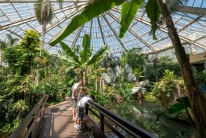 Costa Azul: visita completa de glamour, costa y campos de lavanda