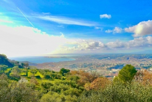 Grande passeio panorâmico de bicicleta pela Riviera Francesa (6h de Nice)