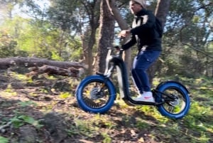 Côte d'Azur : visite guidée en scooter électrique