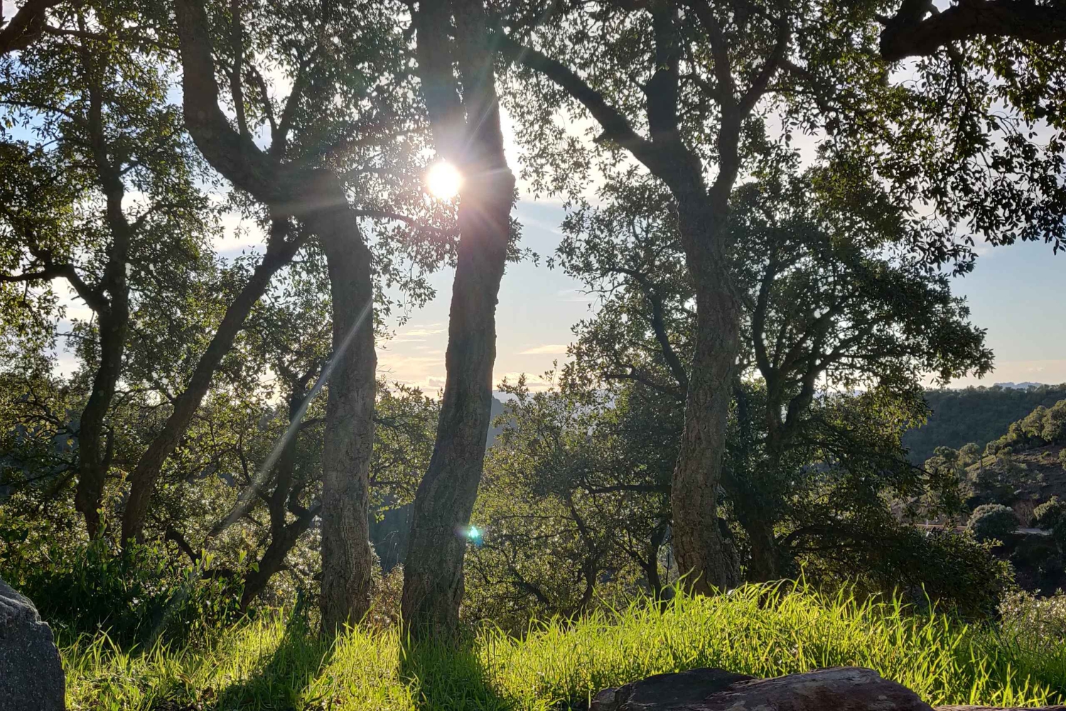 Côte d'Azur : points forts et hors des sentiers battus