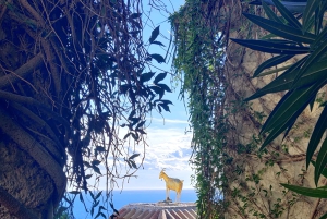 Côte d'Azur : points forts et hors des sentiers battus