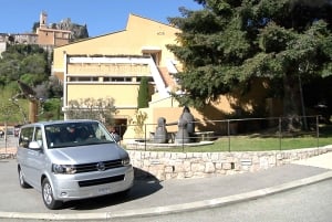 Privat halvdagstur på Den franske riviera