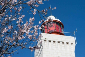 Costa Oeste da Riviera Francesa Entre Nice e Cannes