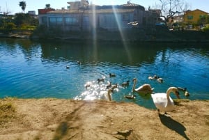 French Riviera's Jewels - E-Bike Tour Antibes - Saint-Paul