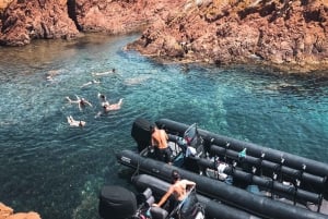 From Cannes: Discover the Calanques of the Esterel