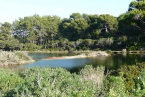 Da Cannes: Biglietti per il traghetto per l'Isola di Sainte-Marguerite